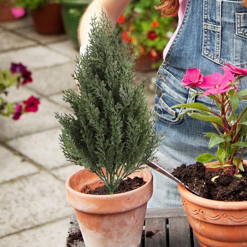Artificial Plastic Pine Tree G - Christmas Tree Artificial review and price