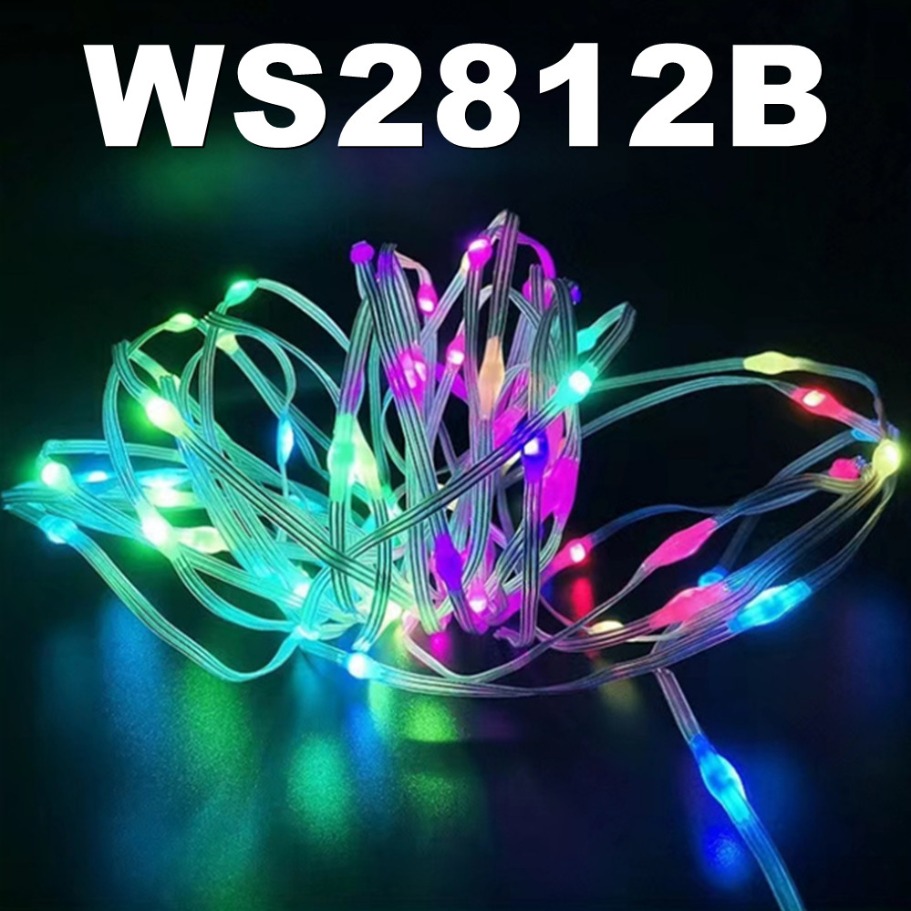 WS2812B LED Light String Smart - Led Fairy String Lights review and price