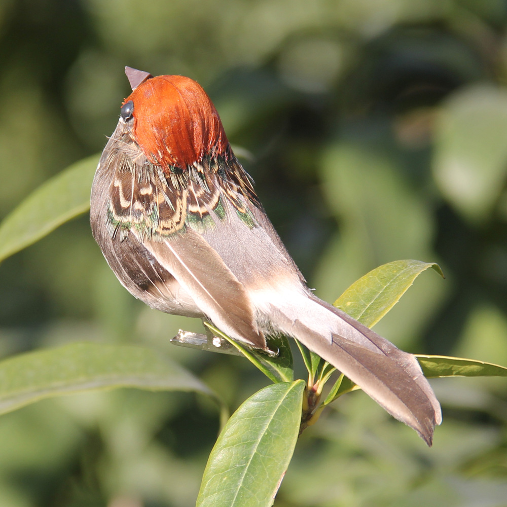 2Pcs Hot Feather Bird Imitatio - Christmas Tree Artificial review and price